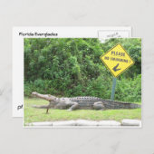 水泳無し! ポストカード (正面/裏面)