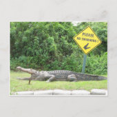 水泳無し! ポストカード (正面)