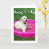 水泳犬が彼のようなハッピーバースデー/おもしろいを持つ カード (黄色い花)