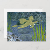 水泳用ターファント ポストカード (正面/裏面)