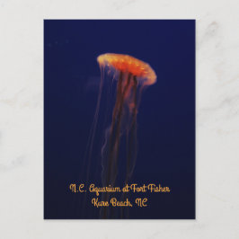 水泳美しく垂直はがき ポストカード