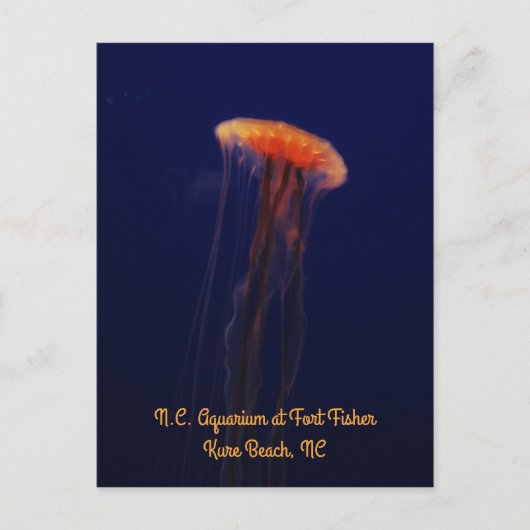 水泳美しく垂直はがき ポストカード (正面)