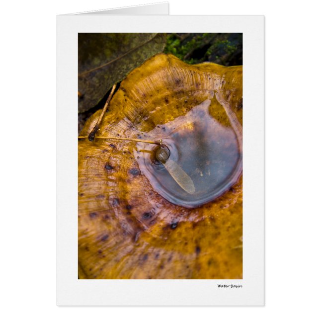 水洗面器 (正面)