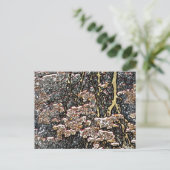 水流反射 ポストカード (スタンド正面)