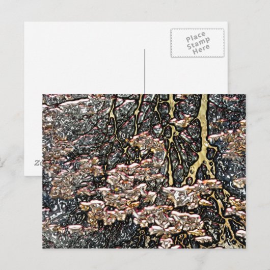 水流反射 ポストカード (正面/裏面)