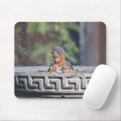 水浴ブルーバード マウスパッド (マウス)