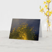 水源 カード (黄色い花)