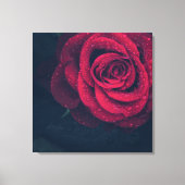 水滴が咲く美しい赤いバラ キャンバスプリント (正面)