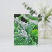 水滴が滴る ポストカード (スタンド正面)