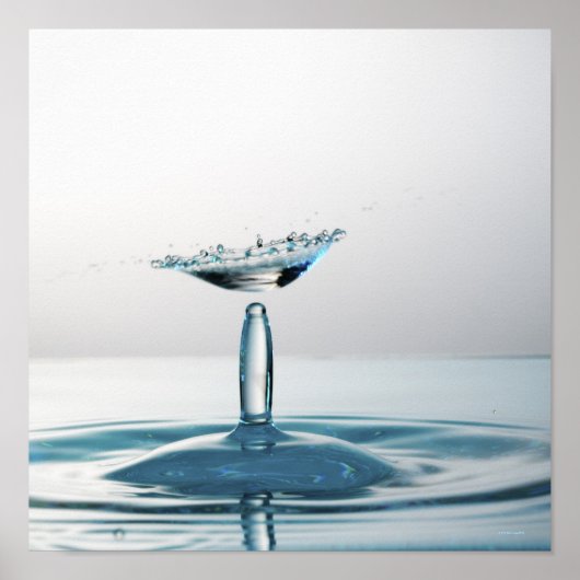 水滴が衝突して傘を作る ポスター (正面)