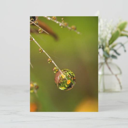 水滴が閉じる カード (スタンド正面)