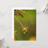 水滴が閉じる カード (正面/裏面インサイチュ)