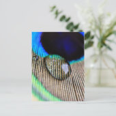 水滴で孔雀の羽 ポストカード (スタンド正面)