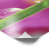 水滴で形成されたアスターの画像 フォトプリント            (角)