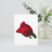 水滴で赤いバラ ポストカード (スタンド正面)