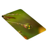 水滴のクローズアップ マグネット (右側)