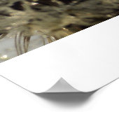 水滴のホイール – 水滴とタンポポ ポスター (角)