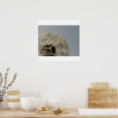 水滴のホイール – 水滴とタンポポ ポスター (キッチン)