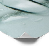 水滴のマクロショット ポスター (角)