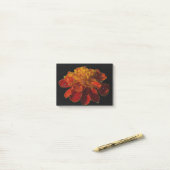 水滴のマリゴールドの花 ポストイット (デスク上)