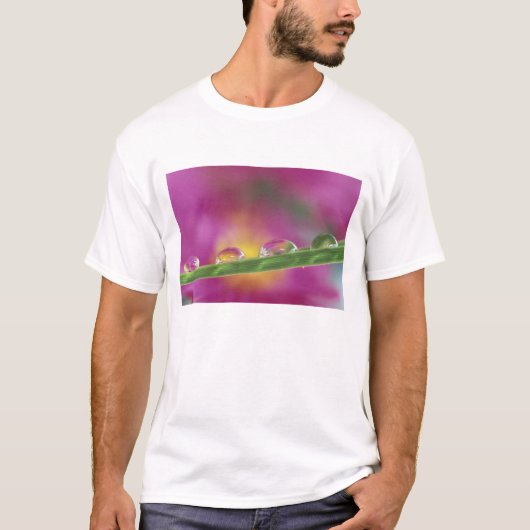 水滴の中で形成されたシスターの画像 Tシャツ (正面)