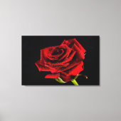 水滴の写真キャンバスで黒に赤いバラ キャンバスプリント (正面)