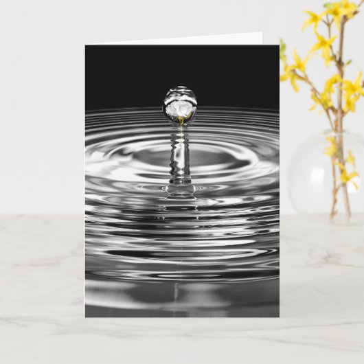 水滴の白いバラ カード (黄色い花)