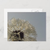 水滴の輪 ポストカード (正面/裏面)