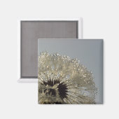 水滴の輪 マグネット (正面/裏面)