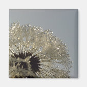 水滴の輪 マグネット (正面)