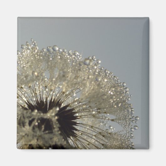 水滴の輪 マグネット (正面)