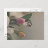 水滴はがきの白い花 ポストカード (正面/裏面)