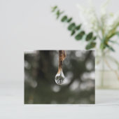 水滴はがき内のツリー ポストカード (スタンド正面)