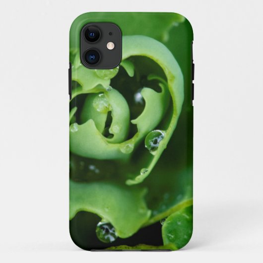 水滴を伴う多肉植物のクローズアップ Case-Mate iPhoneケース (裏面)