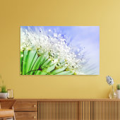 水滴を持つタンポポの種子 キャンバスプリント (インサイチュ (リビング))