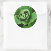 水滴を持つ多肉植物を閉じる ラウンドシール (バッグ)