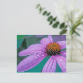 水滴を持つ紫色の円錐花 ポストカード (スタンド正面)