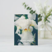 水滴を持つ虹彩 ポストカード (スタンド正面)