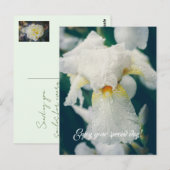 水滴を持つ虹彩 ポストカード (正面/裏面)