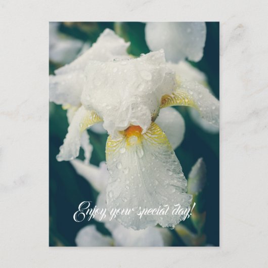 水滴を持つ虹彩 ポストカード (正面)