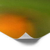 水滴クローズアップ ポスター (角)