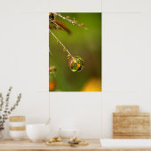 水滴クローズアップ ポスター (キッチン)