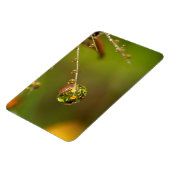 水滴クローズアップ マグネット (左側)