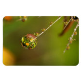 水滴クローズアップ マグネット (横)