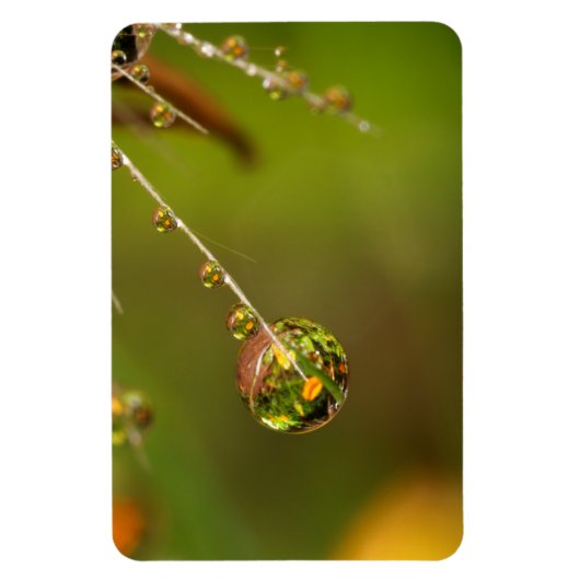 水滴クローズアップ マグネット (縦)