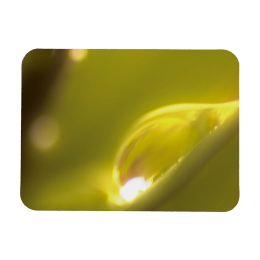 水滴プレミアムマグネット3 マグネット (横)