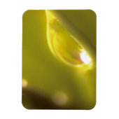 水滴プレミアムマグネット3 マグネット (縦)