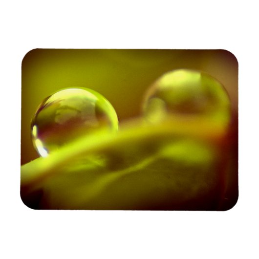 水滴プレミアムマグネット マグネット (横)