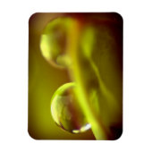 水滴プレミアムマグネット マグネット (縦)