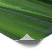 水滴ポスター付き草 ポスター (角)